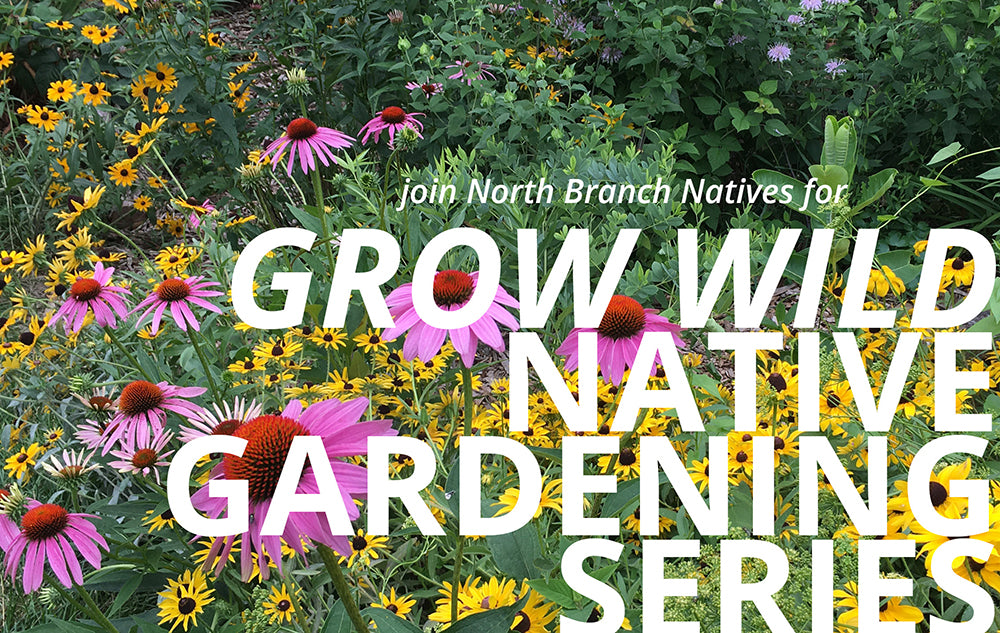 GROW WILD for Beginners