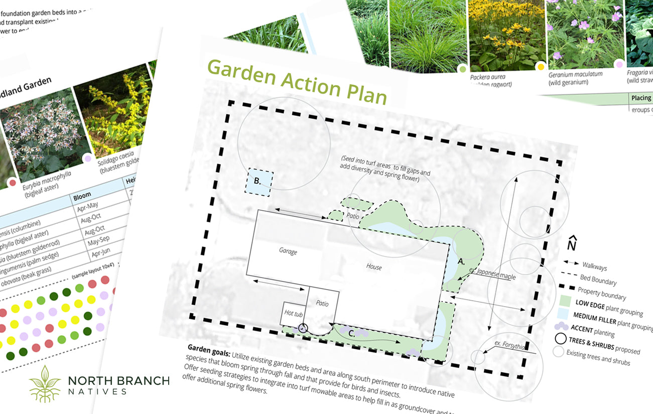 Consultation with Garden Action Plan