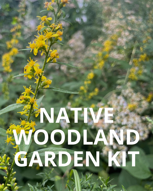 NBN Garden Kit - Native Woodland Mix