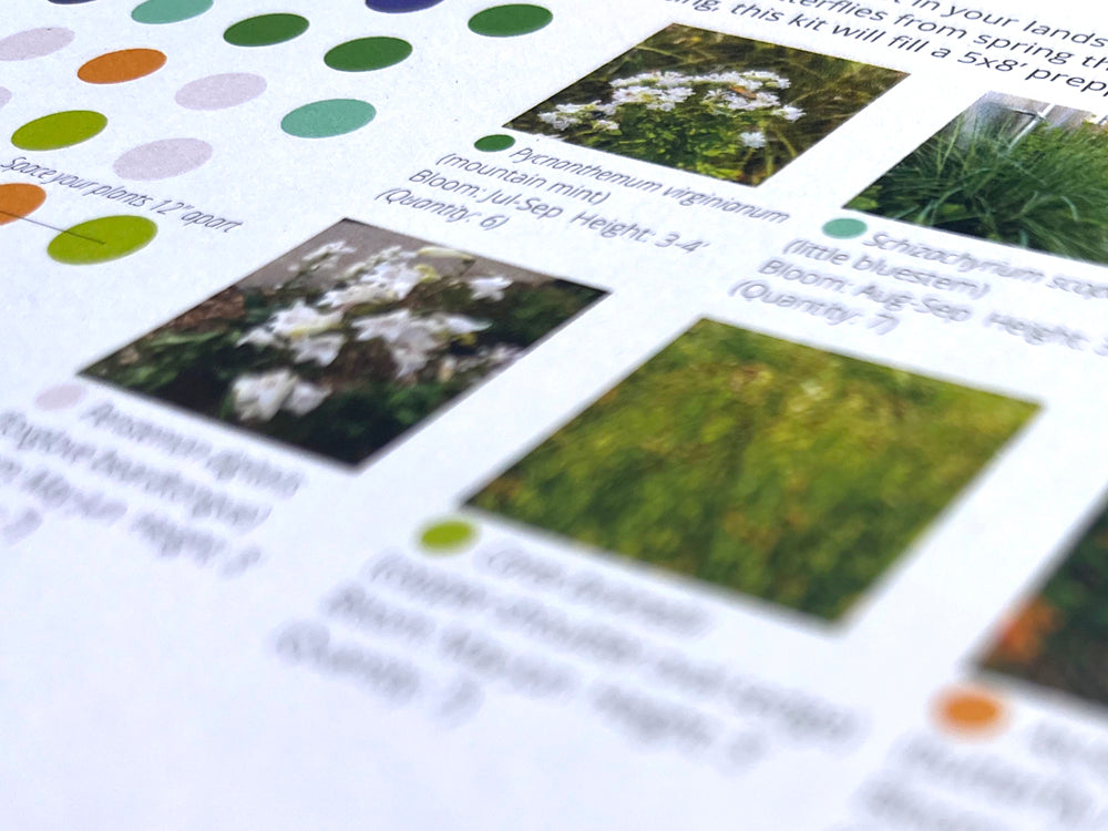 NBN Garden Kit - Native Prairie Mix
