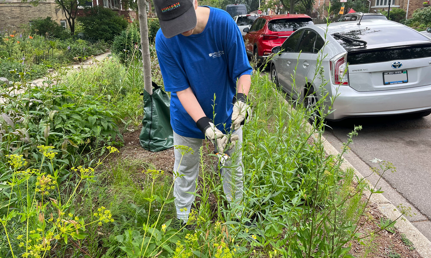 Tackling Garden Weeds