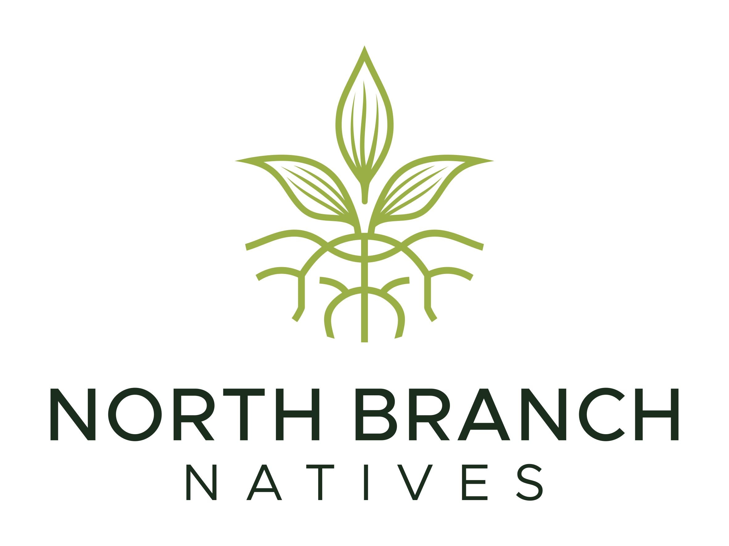 North Branch Natives