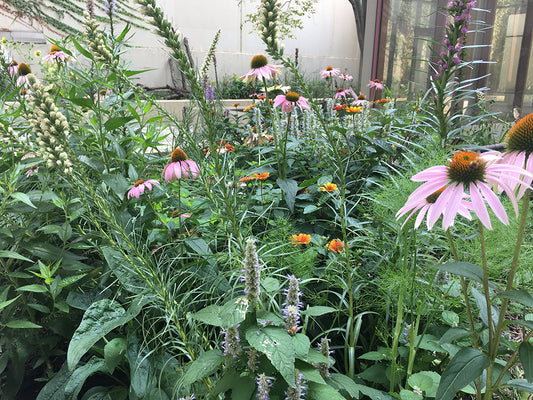 How to Save Money with a Condo Community Garden