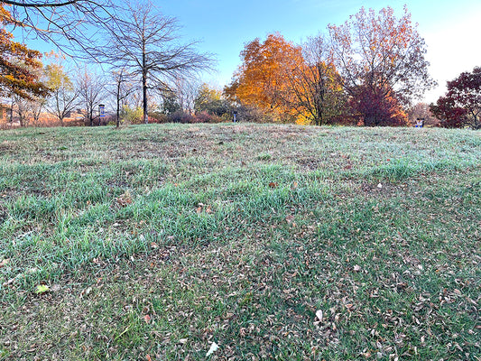 Managing Height in your Native Landscape