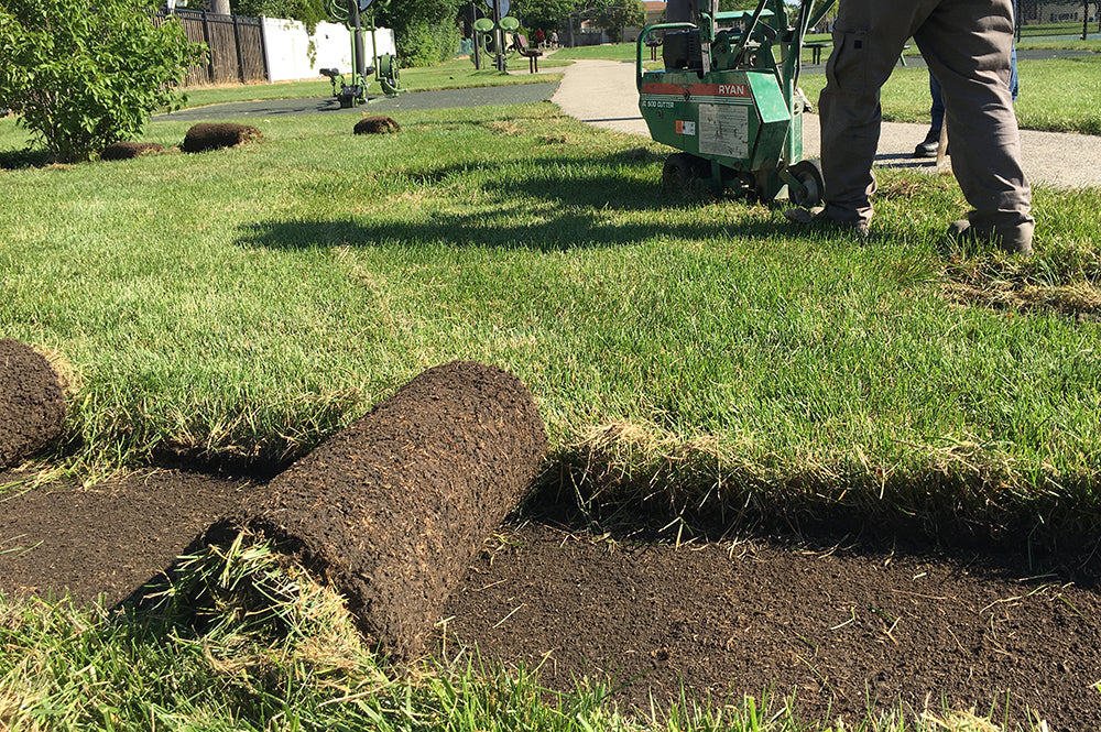 A Helpful Guide to Removing Turfgrass- Updated for 2025