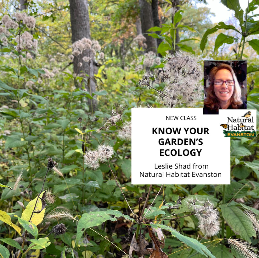 Get to Know Your Garden's Ecology