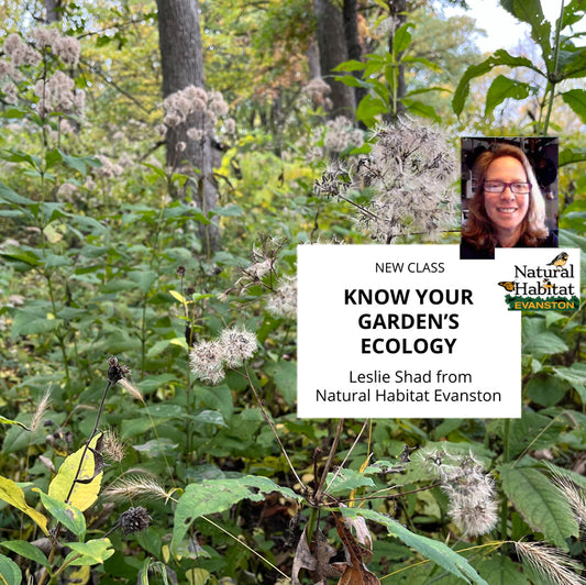 Get to Know Your Garden's Ecology