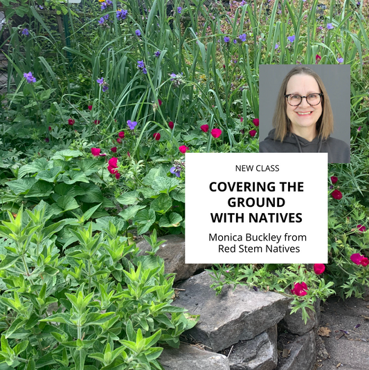Covering the Ground with Natives