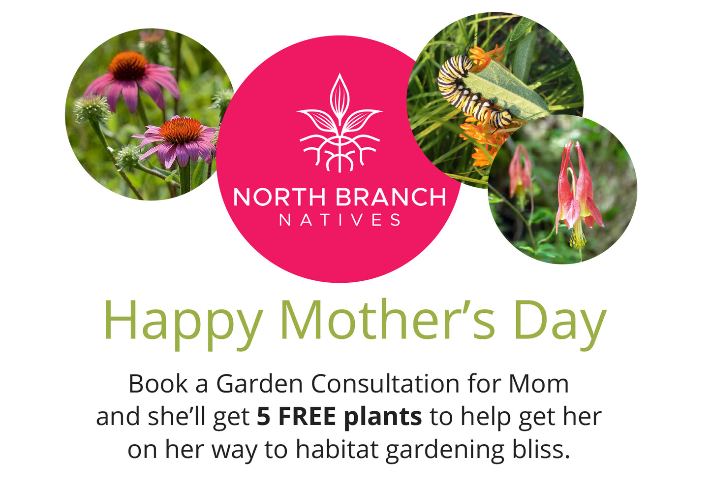 Mother's Day Garden Consultation