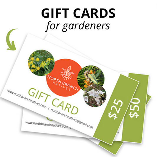 Native Gardening Gift Card