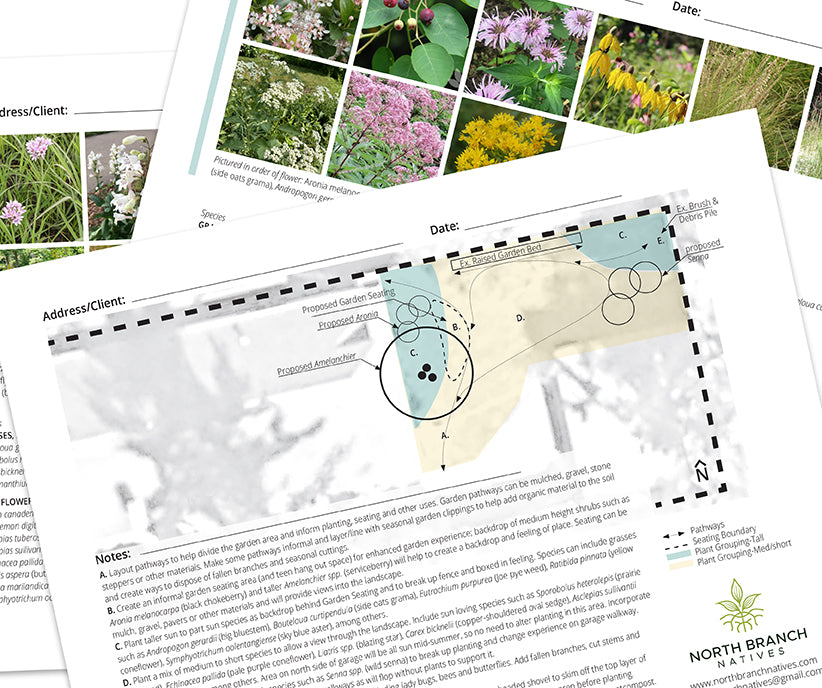 Consultation with Garden Action Plan