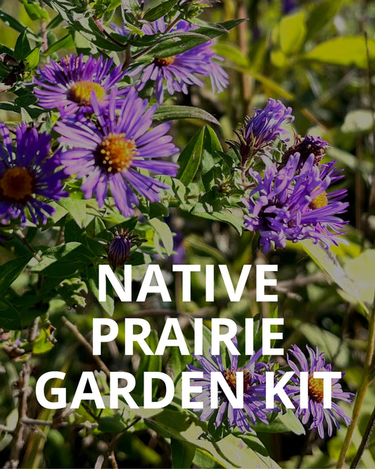 NBN Garden Kit - Native Prairie Mix