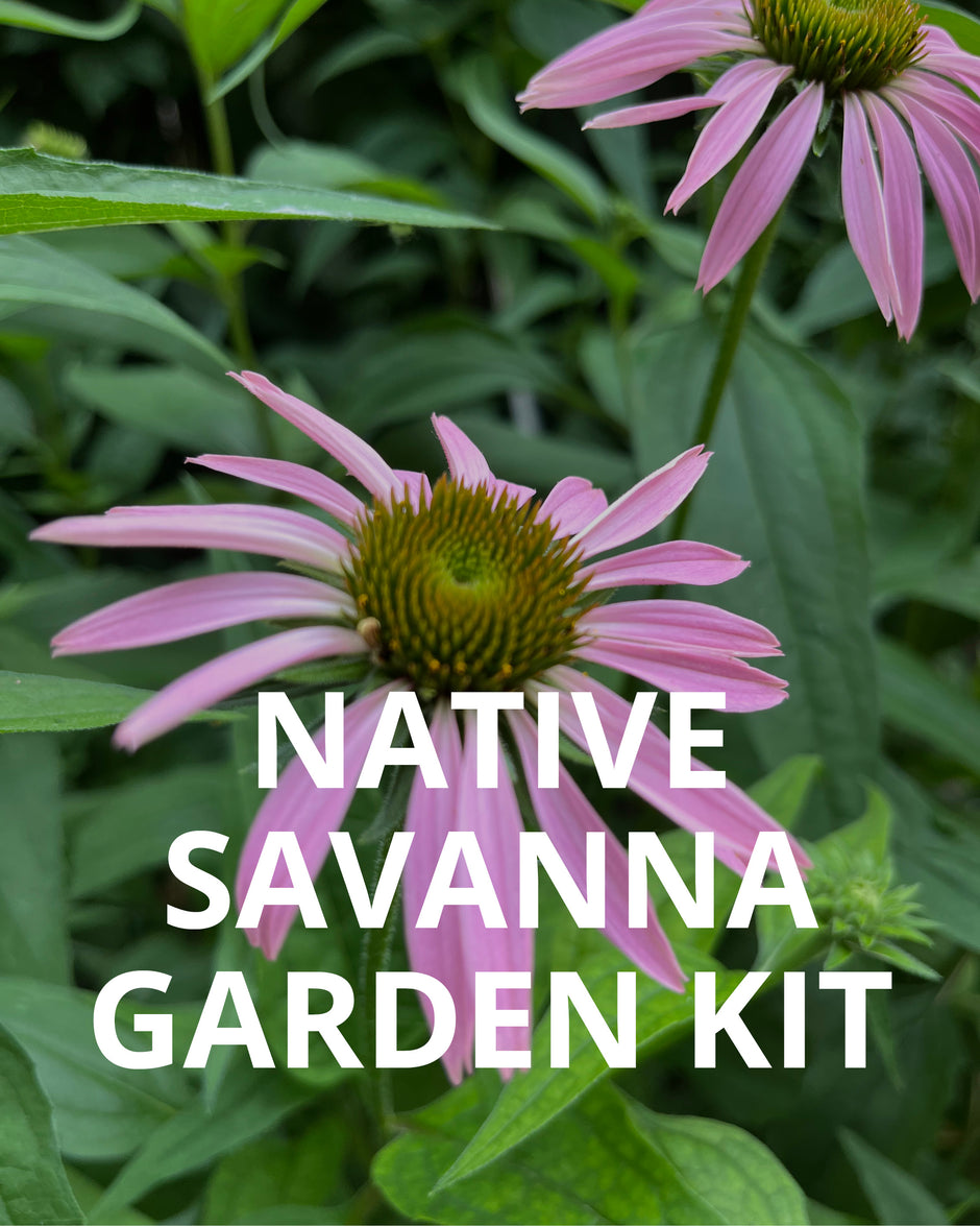 North Branch Natives Garden Kits - Chicago Area Native Plants