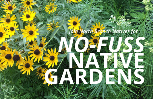No-fuss Native Gardens