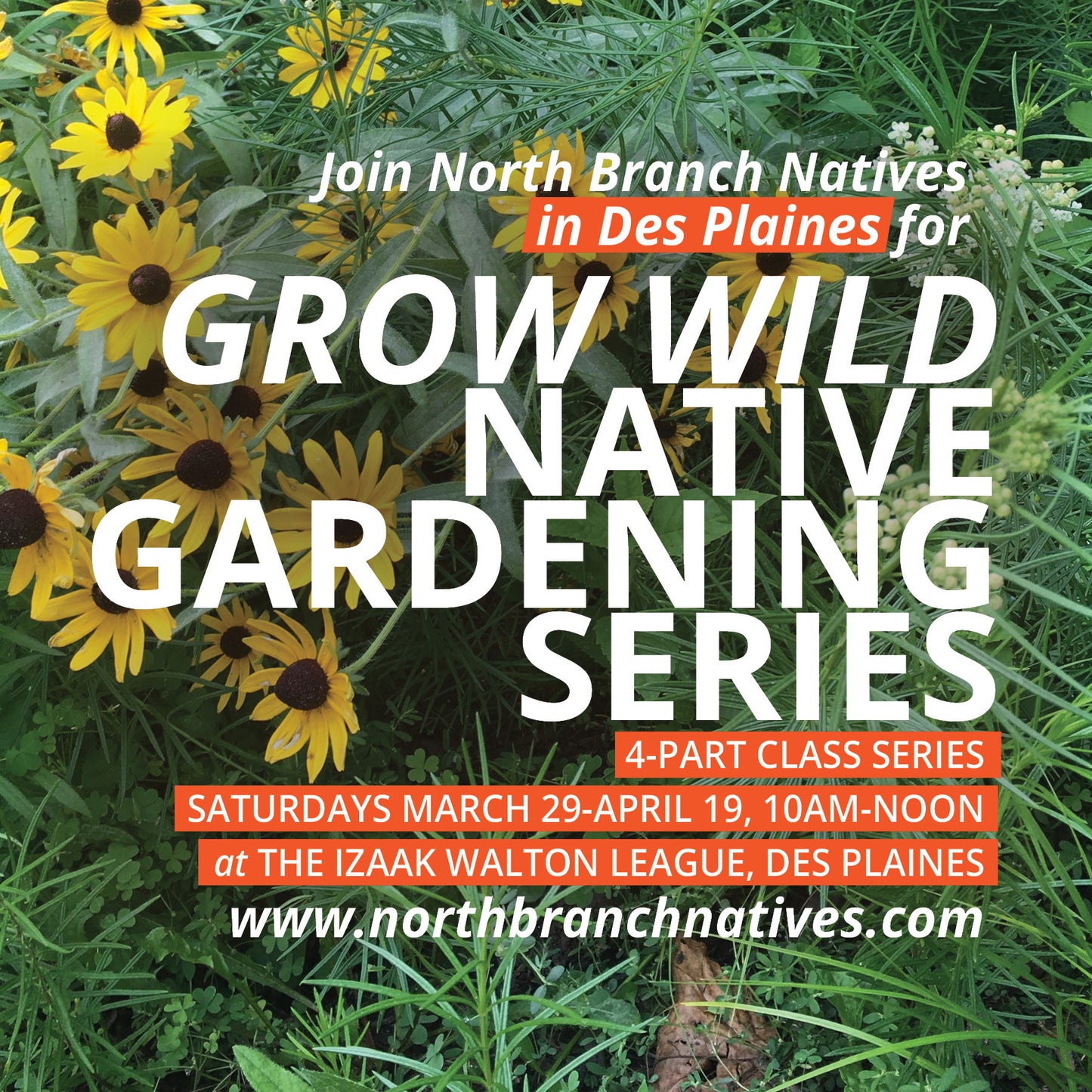 GROW WILD Native Gardening Design Class Series | Des Plaines, IL